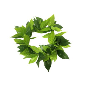 t_X@v~A}CnN(wbhoh)@iFH42