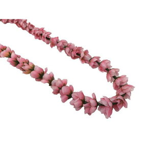 t_X@ VO[YC@CgsN@iFL095