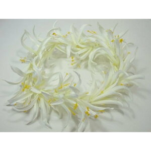 �t���_���X�@ �X�p�C�_�[�����[�n�N(�w�b�h�o���h)�@�z���C�g�@�i��FH54