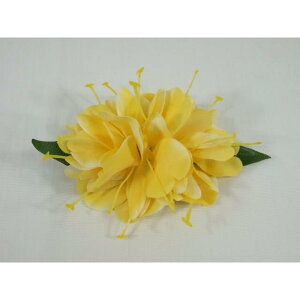 �t���_���X �J�q���W���W���[�E�C�G���[ �w�A�[�N���b�v �i�i��HP224�j