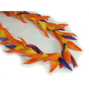 t_X@o[hIup_CXC (iFL147)