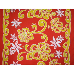 nCAt@ubN ȃ| {[_[ nCrXJX bh HFR646