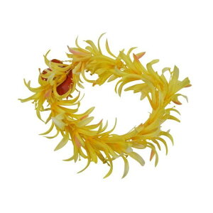 t_X XpC_[[nN(wbhoh) CG[ FH101