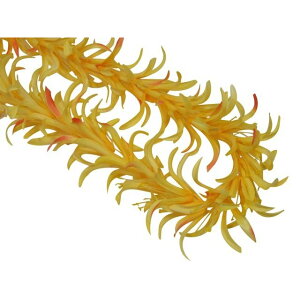 t_X@XpC_[[C@CG[ FL227