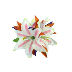 t_X@o[hIup_CXsN[wA[Nbv@HP260