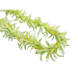 t_X XpC_[[OC O[ FL279