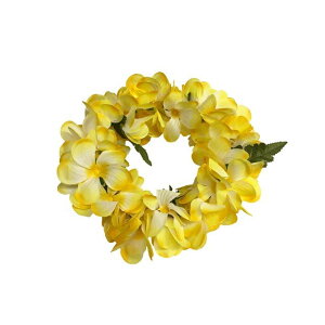 t_X@vA@|G|GnN(wbhoh)@CG[iFH121