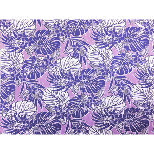 nCAt@ubN ȃ| S̕ Xe x_[@iHFB678