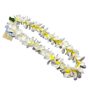 t_X VOvAC zCgECG[ FL391