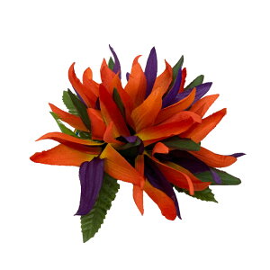 t_X o[hIup_CX wA[Nbv iiHP214j