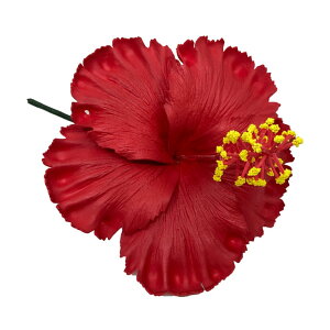 �����I�n�C�r�X�J�X�t�H�[��/�W���X�g���b�h/��15.5cm TF88B