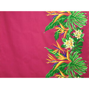 nCAt@ubNȃ| /t[V/gsJt[/LW-23-885/HFR953