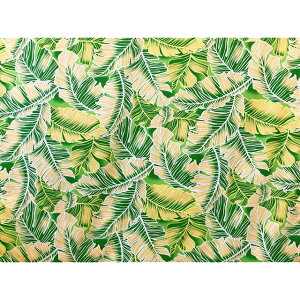 nCAt@ubNȃ| S̕/AbvE\xbg/oii[t/LW-24-910/HFR964