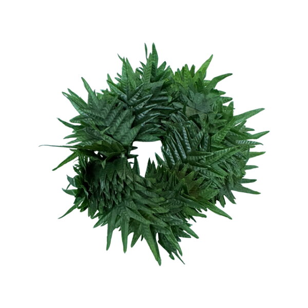 JLラウアエ ファーン ダブルブレスLaua'e Fern double bracelet/FB73