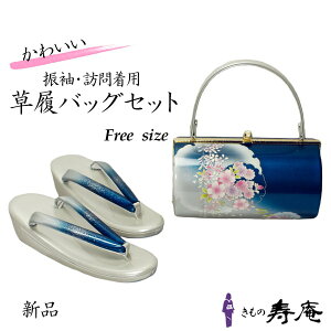 |Cg2{ N[| obOZbg  Up  ɂȂ ₷   t[TCY  Vo[  u[   Rogu[ tH[} 瑕p  K⒅