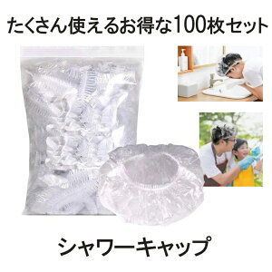 y 100 Zbg z V[Lbv ĝ wALbv Lbv V[ wA[ J[ ߗp wAJ[p Tp Ɩp t[TCY jp  ѐߗp ze PE 