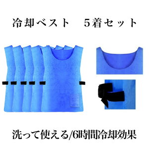 yz pxXg 5Zbg N[xXg ⊴xXg M ҏ΍ p ЂObY ۗ H H O X|[c REIVEST
