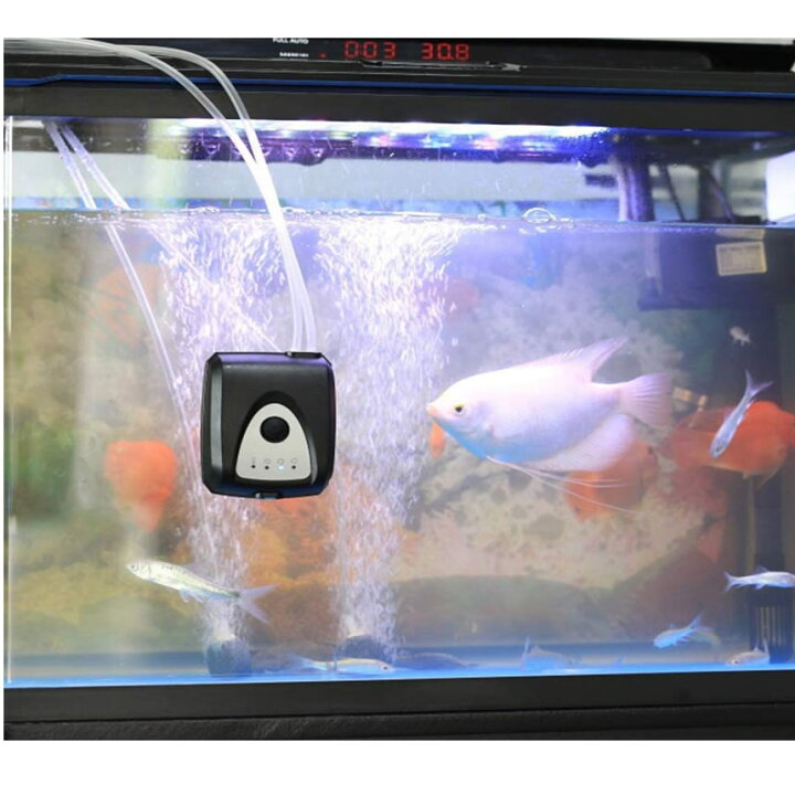 楽天市場 送料無料 エアポンプ ソーラー酸素ポンプ 小型 水槽ポンプ 静音 循環ポンプ Dc Usb ソーラーパネル充電 6v 3 5w 吐出口2つ 釣り 池 水族館 Sorapop Shop Kurano