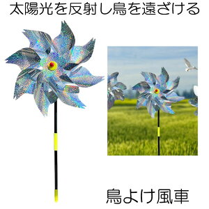 yz𔽎ˁz 悯 ObY   悯ObY z  悯 JX悯 炷 JX΍ Q΍ 쏜 Q K[fjO x_  K[f   Ԓd 