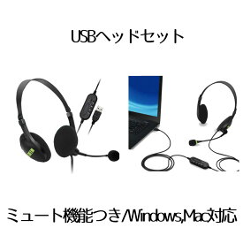 【送料無料】 usb ヘッドセット テレワーク ミュート機能付き 両耳ボイスチャット用 ヘッドフォン PC Windows Mac対応 USHEDSET