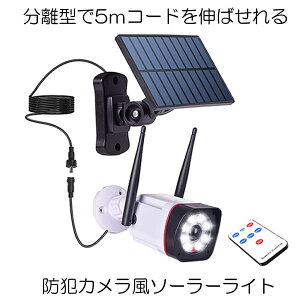 yz \[[Cg \[[ZT[Cg ^ 5MR[h hƃCg hЃCg LED Rt _~[J hƃJ O  ԏ  BURIBOU