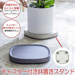 y LX^[ɂ z Aؔ Aؔ X^h t[  u LX^[ v^[pM LX^[t v[g a25.5cm  ϗtA t[bN v