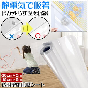 yǎz ǎ V[ NX  ǎیV[g   ͂ q n  gC hA q  ی V[g ÓdC  NA  EH[ Xeb