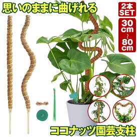 【 6サイズ展開 】 モンステラ 支柱 曲げられる ココスティック 2本 入り 観葉植物 モンステラ支柱 園芸支柱 モスポール 植物 ガーデニング用 ココナッツ支柱 植物サポート 30cm 40cm 50cm 60cm 70cm 80cm ポトス 園芸 園芸用 園芸用品 ココナッツ フラワースタンド
