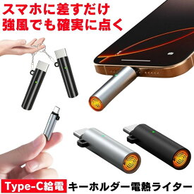 電子ライター usbライター 電子 ライター 電気 Type-C コイル 電気ライター USB 線香 着火マン スマホ 防風 アウトドア 電熱 タバコ 煙草 着火 焚き火 火おこし 火起こし 小型 小型ライター 風よけライター キーホルダー 持ち運び 軽量