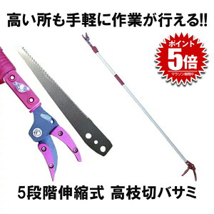 }؃oT~ 5iKLk pmRMn y  ʎ ̎ } K[fjO  }؂ RZ-TAKAEDA