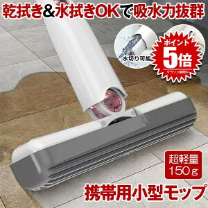【細い隙間もOK】 クリーナー ミニモップ モップ スポンジ 雑巾 水拭き ぞうきん 乾湿両用 乾拭き デスクトップ ガラス掃除 バスルーム 隙間 ヘッド 水拭きモップ 床 家庭用 油 汚れ 洗える