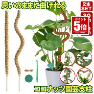 【期間限定値下げ 8/11 10：00まで】【 6サイズ展開 】 モンステラ 支柱 曲げられる ココスティック 2本 …