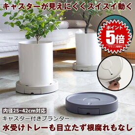 植木鉢台 植木鉢 プランター 鉢 受け皿 キャスタースタンド フラワー 台 水受け付き 鉢置き台 キャスター プランター用受皿 キャスター付き 鉢受プレート フラワースタンド おしゃれ 観葉植物 フラワーラック プランターラック プランター台 植木 花台 室内 屋外