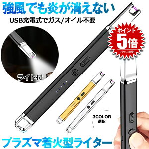 【LEDライト付き】 ライター 電子ライター プラズマライター 火起こし 火おこし USB充電式 TYPE-C ガス オイル 不要 点火用ライター チャッカマン プラズマ 電気 防風 おしゃれ 軽量 アウトドア