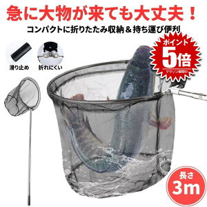 ʖ fBOlbg 3m ^   ܂肽  ^ ^fBOlbg tBbVO ܂肽ݎ fBO lbg ނ ނ ܂     