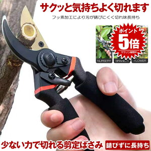 y y͂ŃXpbƐ؂ z ΂ nT~ }؂oT~ ͂ Kтɂ tbfR[eBO ₷ oT~  Ă΂ }΂ ؂̙   