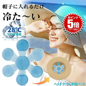 ACX Xq wbh ppbh l qǂ wbhN[ Xqpۗ uԗp N[ ڂ  wbg ЂXq p JԂgp LbY NASA PCM 28xȉ   O AEg