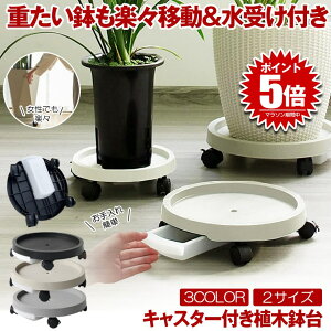 y z̔u z t[X^h u u rgC Aؔ LX^[ ϗtA u ړ Aؔ 󂯎M  ԑ v^[X^h  A LX^[t