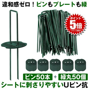 yłɂȂޗ΁z hV[g s UsY Ίەt Us Œs  V[g 15cm 50{ h[ hV[g h[ Œp Œ lH s s 100{ 200{ 300