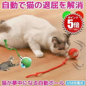 yœz lR L  {[ d   lV   USB[d ybg _CGbg ^s  LEDCgt Kt  Ђ Type-C XgX