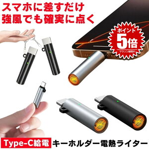 �d�q���C�^�[ usb���C�^�[ �d�q ���C�^�[ �d�C Type-C �R�C�� �d�C���C�^�[ USB ���� ���΃}�� �X�}�z �h�� �A�E�g�h�A �d�M �^�o�R ���� ���� ������ �΂����� �΋N���� ���^ ���^���C�^�[ ����