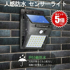 ҂̃rWCg  30 LED l ZT[Cg O \[[ z 3[h _ h hƃCg h zsv SYOUVISION