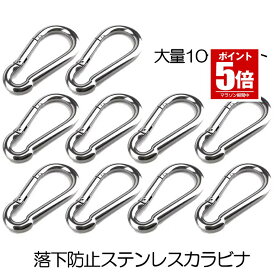 【楽天ランキング受賞】 【10個セット】 カラビナ キーホルダー ステンレス おしゃれ アウトドア Dリング ボトルホルダー 鍵 ホルダー キーチェーン キーリング キャンプ ギフト スプリングフック 多機能カラビナ トレッキング 落下防止 送
