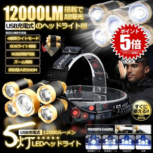 yz y2Zbgz USB[d 12000LEDwbhCg 4̃[h Ɩ Y[@\ 90x 500M IPX4h 2-12LMHDL