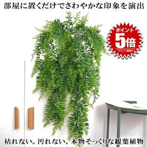 tFCNO[ Ǌ| ԃO[  ͂Ȃ ϗtA tFCN 85cm lHϗtA tFCN  EH[O[  t CeA   lHA O[ A JtF 