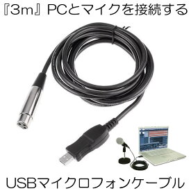 楽天市場 マイク Usb 変換の通販