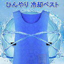 冷却ベスト 水冷 クールベスト 冷感ベスト 物理冷却 熱中症 猛暑対策 冷却服 ひんやりグッズ 保冷 工事現場 工場内 屋外 スポーツ 冷感 涼しい 保冷服 農業 屋外作業 釣り 暑さ対策 夏用 送料無料