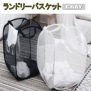 󂩂 ܂肽 e h[oXPbg JS X 󕨓 󕨂 t h[obO h[ O[ [ E߂ ܂ݎ SKAGO-GY