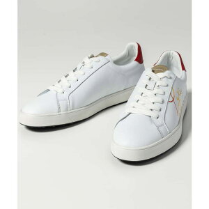 y10OFFN[|I11/11 ()1:59܂ŁzSHIFFON LUXEAKMPLUS NXGCPCGvX St C{[SStV[Y C Y   uh StEFA X|[cEF