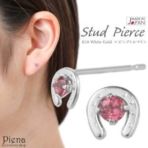 ANZT[VbvPIENA sAX fB[X { K10WG zCgS[h sNg} n z[XV[ ꗱ ~j Ԃ ɏ ڗȂ 10 a ItBX Vv i 